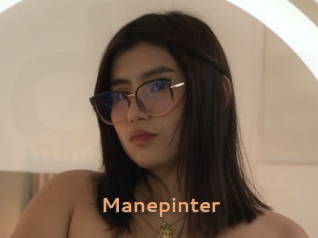 Manepinter