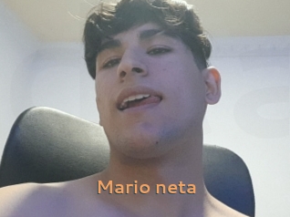 Mario_neta