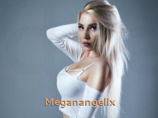 Meganangelix