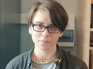 NoahBoy