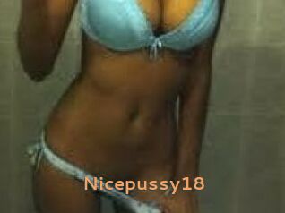 Nicepussy18