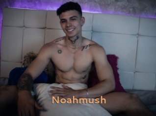 Noahmush