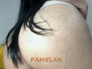 PAMELA_N