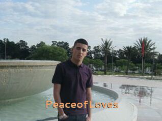 PeaceofLoves