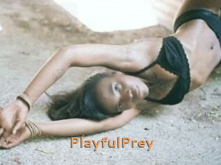 PlayfulPrey