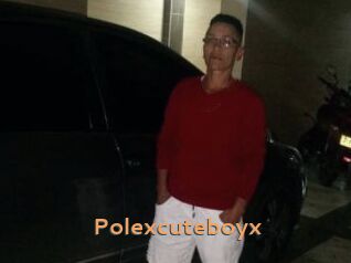 Polexcuteboyx