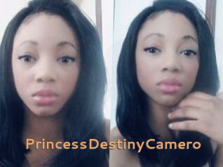 PrincessDestinyCamero