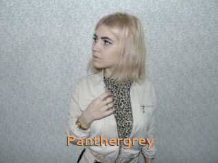 Panthergrey