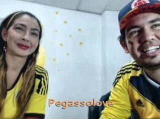 Pegasso_love