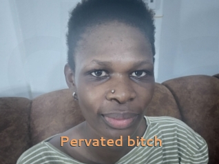 Pervated_bitch