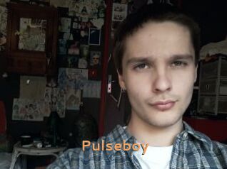 Pulseboy