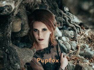 Pupfox