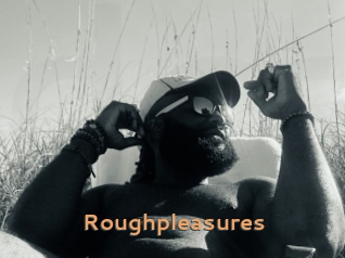 Roughpleasures