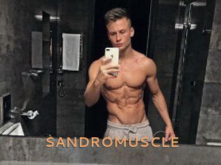 SANDRO_MUSCLE