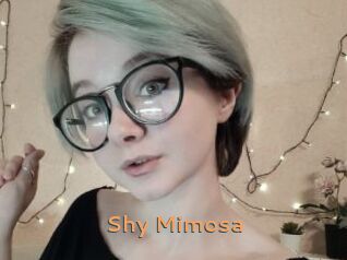 Shy_Mimosa