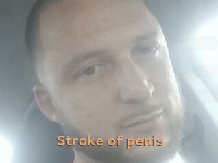 Stroke_of_penis