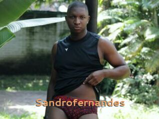 Sandrofernandes