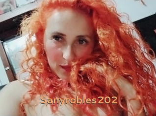 Sanyrobles202