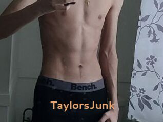 TaylorsJunk