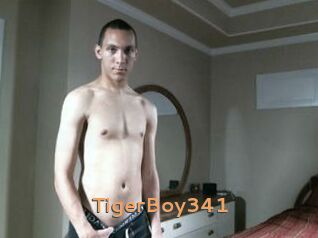 TigerBoy341