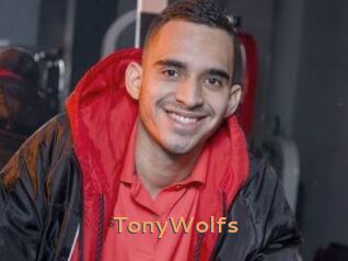 TonyWolfs