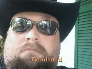 Txbullstud