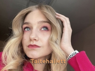 Taitehallett