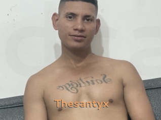 Thesantyx