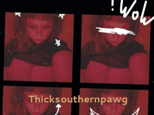 Thicksouthernpawg