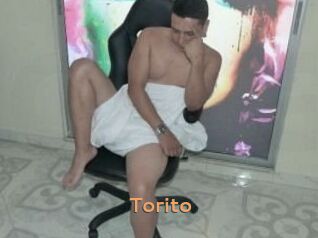 Torito