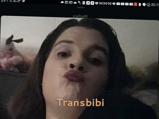 Transbibi