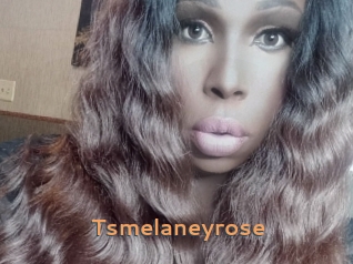 Tsmelaneyrose