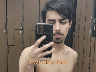 Twunkmikee