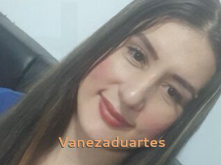 Vanezaduartes