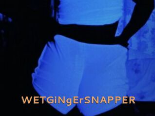 WETGiNgErSNAPPER