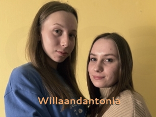 Willaandantonia