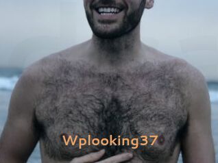 Wplooking37