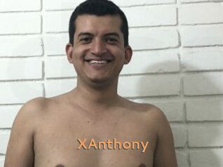 XAnthony