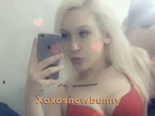 Xoxosnowbunny