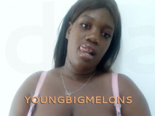 YOUNGBIGMELONS