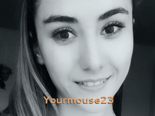 Yourmouse23